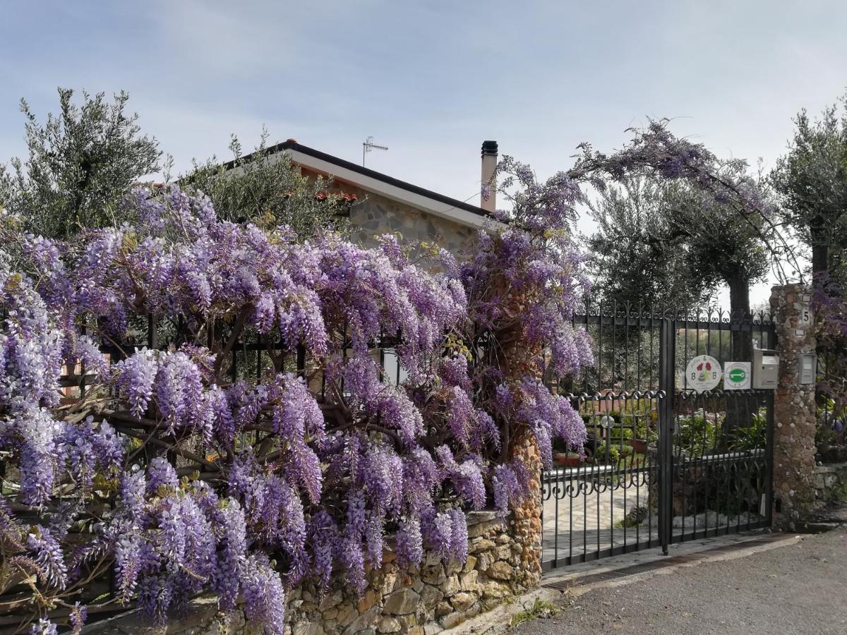 B&B Polline & Conchiglie Ceriale Zewnętrze zdjęcie