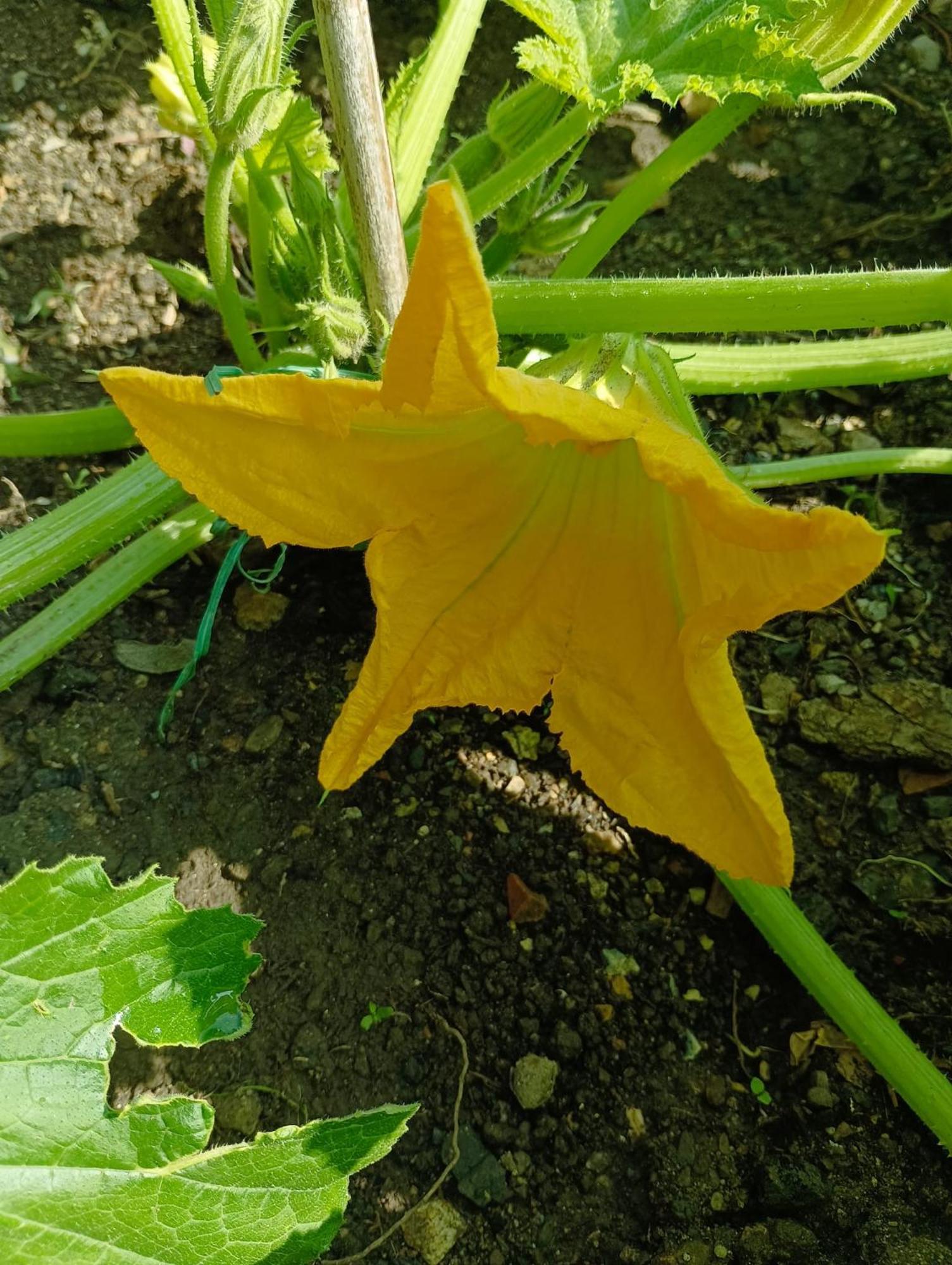 B&B Polline & Conchiglie Ceriale Zewnętrze zdjęcie